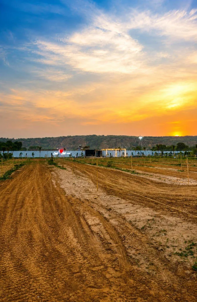 Golden Ridge Sunset Landscape